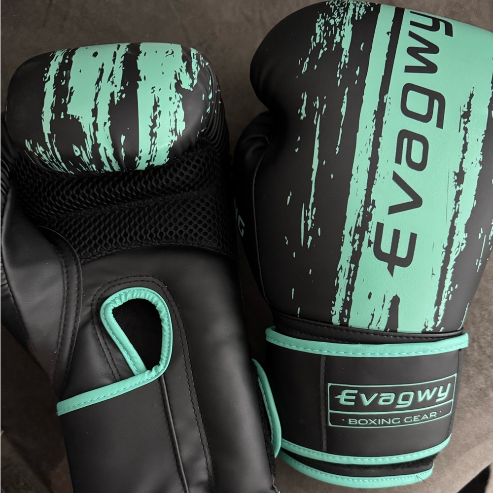 LIKE NEW Boxing Gloves
